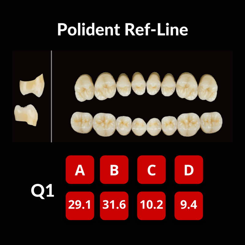 Polident Ref-Line Artificial Teeth Shade A3.5 Artificial Acrylic Resin Teeth by Polident- Unique Dental Supply Inc.