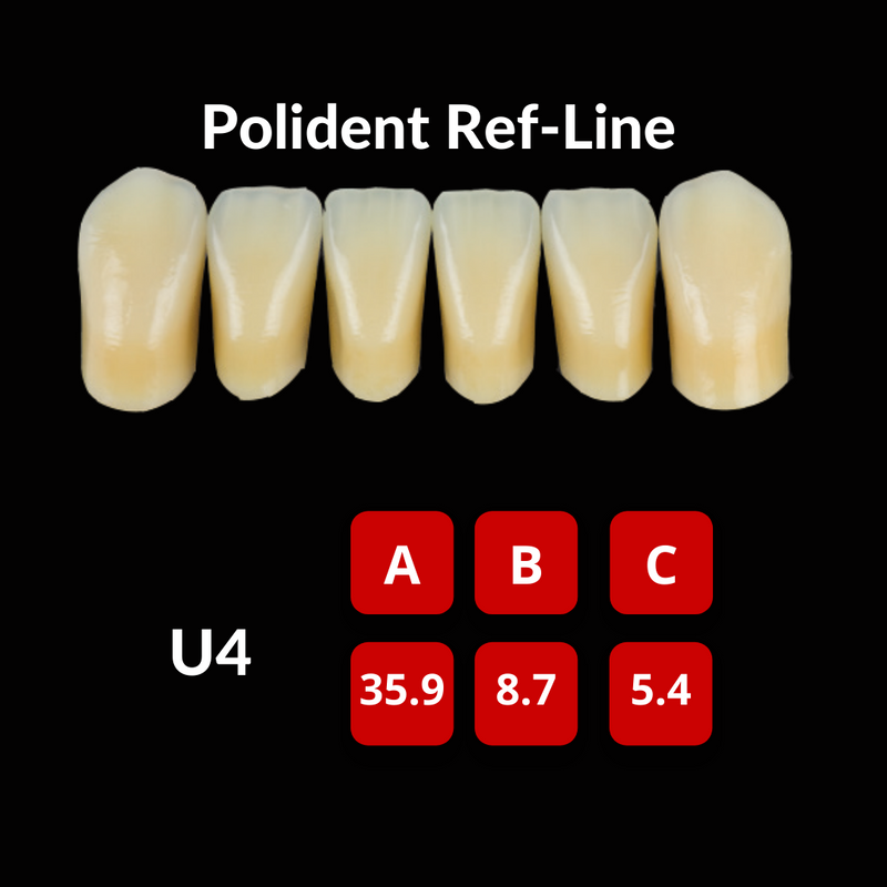 Polident Ref-Line Artificial Teeth Shade A3.5 Artificial Acrylic Resin Teeth by Polident- Unique Dental Supply Inc.