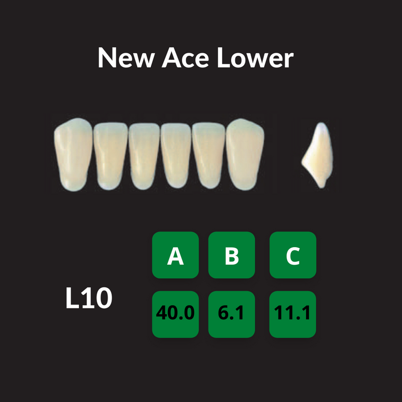 Yamahachi New Ace Teeth Shade A2 Crown New Ace Teeth by Yamahachi- Unique Dental Supply Inc.