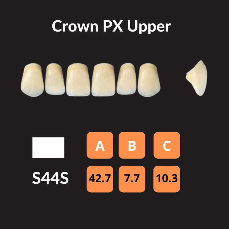 Yamahachi - Crown PX Teeth Shade A2 Crown PX Teeth by Yamahachi- Unique Dental Supply Inc.