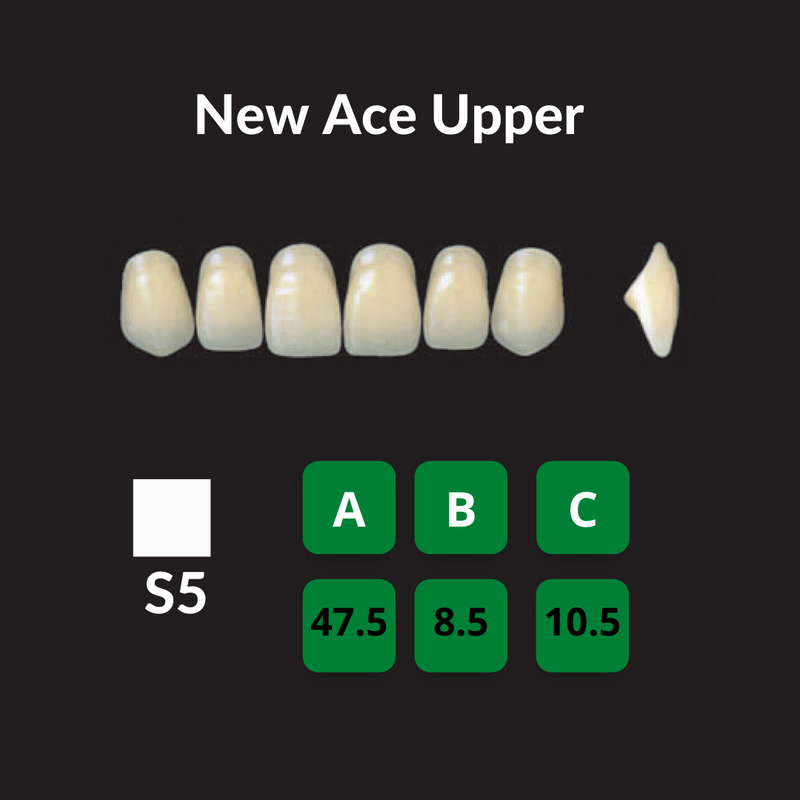 Yamahachi New Ace Teeth Shade C1 Crown New Ace Teeth by Yamahachi- Unique Dental Supply Inc.