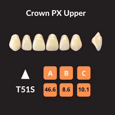 Yamahachi - Crown PX Teeth Shade B3 Crown PX Teeth by Yamahachi- Unique Dental Supply Inc.