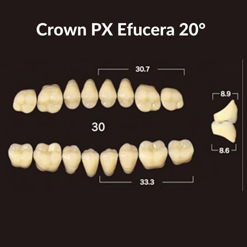 Yamahachi - Crown PX Teeth Shade A3.5 Crown PX Teeth by Yamahachi- Unique Dental Supply Inc.