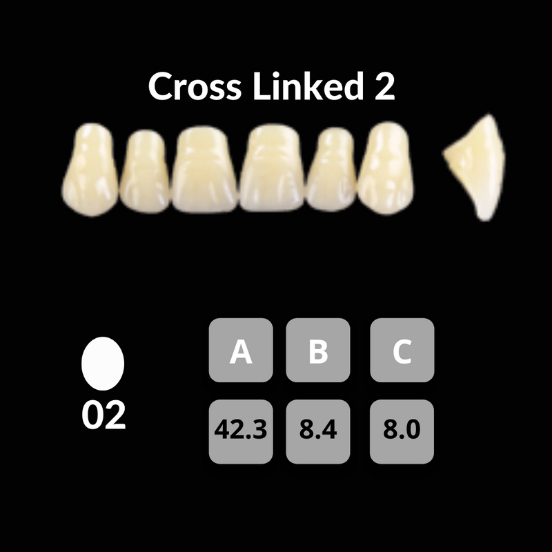 Polident CrossLinked2 Acrylic Teeth Shade B3 – Unique Dental Supply Inc.