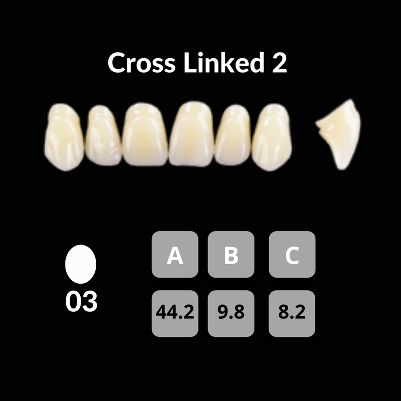 Polident CrossLinked2 Acrylic Teeth Shade B2 CrossLinked2 by Polident- Unique Dental Supply Inc.