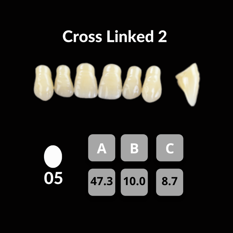 Polident CrossLinked2 Acrylic Teeth Shade B2 CrossLinked2 by Polident- Unique Dental Supply Inc.