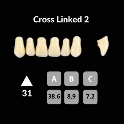 Polident CrossLinked2 Acrylic Teeth Shade C1 CrossLinked2 by Polident- Unique Dental Supply Inc.