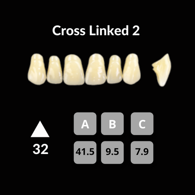 Polident CrossLinked2 Acrylic Teeth Shade A3.5 CrossLinked2 by Polident- Unique Dental Supply Inc.