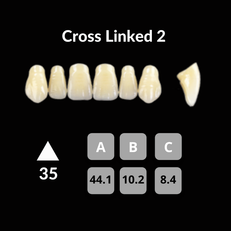 Polident CrossLinked2 Acrylic Teeth Shade C1 CrossLinked2 by Polident- Unique Dental Supply Inc.