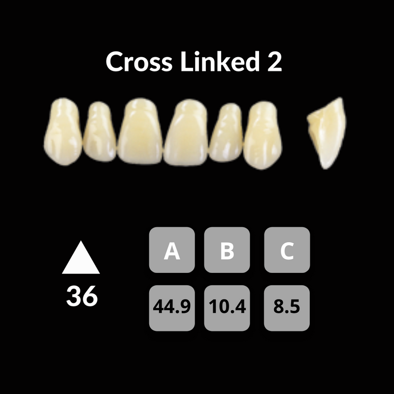 Polident CrossLinked2 Acrylic Teeth Shade BL3 CrossLinked2 by Polident- Unique Dental Supply Inc.