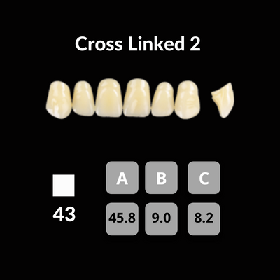 Polident CrossLinked2 Acrylic Teeth Shade B4 CrossLinked2 by Polident- Unique Dental Supply Inc.
