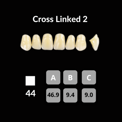 Polident CrossLinked2 Acrylic Teeth Shade B1 CrossLinked2 by Polident- Unique Dental Supply Inc.