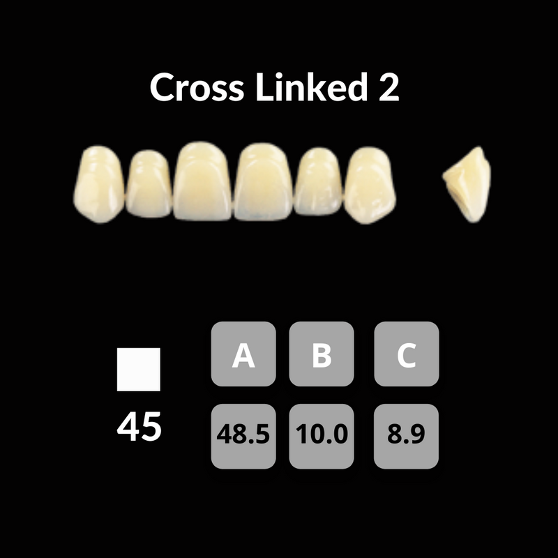 Polident CrossLinked2 Acrylic Teeth Shade D2 CrossLinked2 by Polident- Unique Dental Supply Inc.