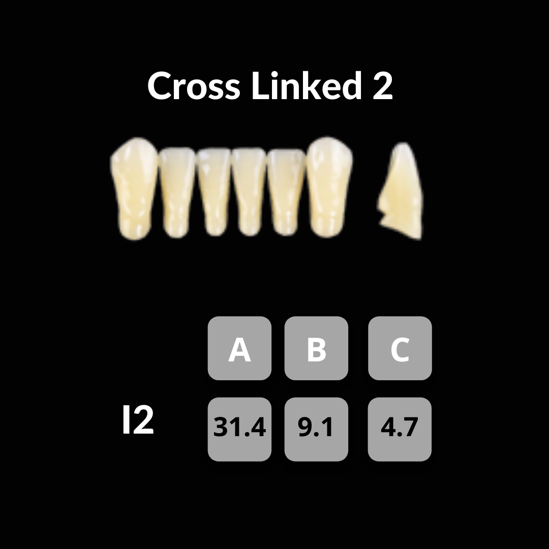 Polident CrossLinked2 Acrylic Teeth Shade A1 – Unique Dental