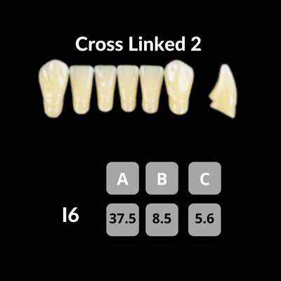 Polident CrossLinked2 Acrylic Teeth Shade A1 CrossLinked2 by Polident- Unique Dental Supply Inc.