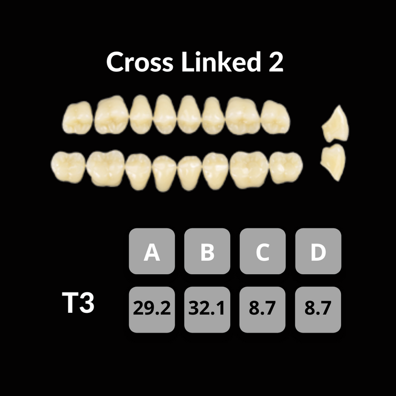 Polident CrossLinked2 Acrylic Teeth Shade B3 – Unique Dental Supply Inc.