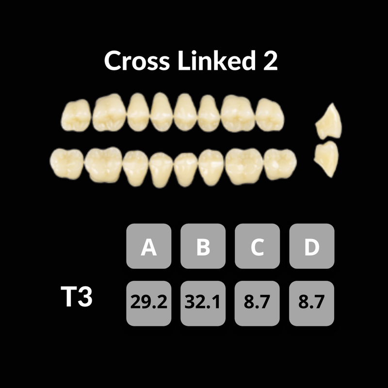 Polident CrossLinked2 Acrylic Teeth Shade C3 CrossLinked2 by Polident- Unique Dental Supply Inc.