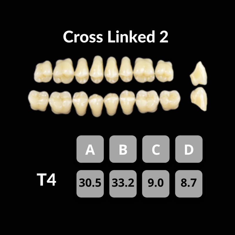 Polident CrossLinked2 Acrylic Teeth Shade B4 CrossLinked2 by Polident- Unique Dental Supply Inc.