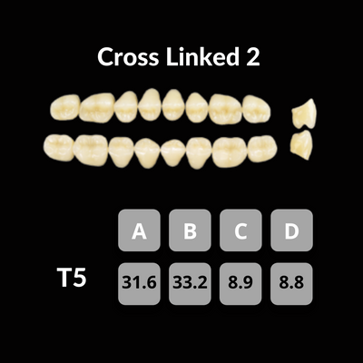 Polident CrossLinked2 Acrylic Teeth Shade B1 CrossLinked2 by Polident- Unique Dental Supply Inc.