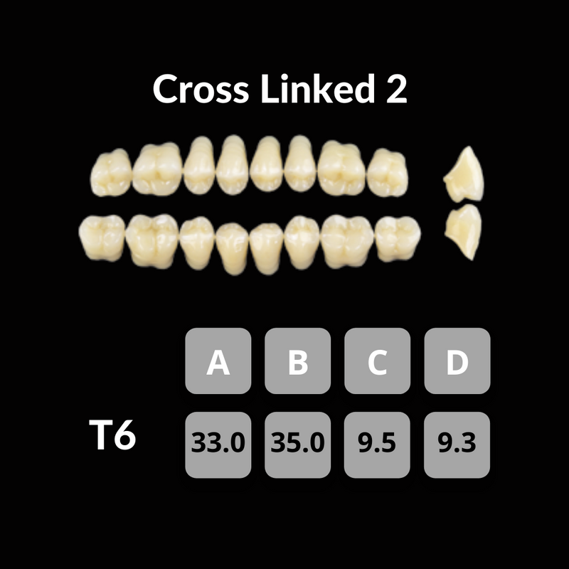 Polident CrossLinked2 Acrylic Teeth Shade C2 CrossLinked2 by Polident- Unique Dental Supply Inc.