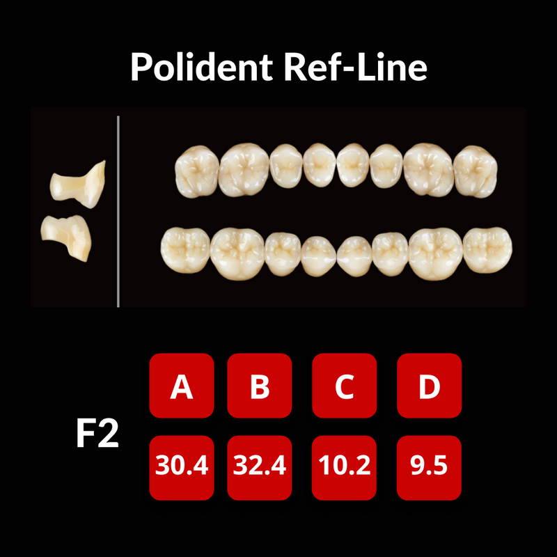 Polident Ref-Line Artificial Teeth Shade C2 Crown NS Teeth by Yamahachi- Unique Dental Supply Inc.