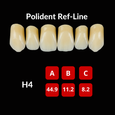 Polident Ref-Line Artificial Teeth Shade D4 Artificial Acrylic Resin Teeth by Polident- Unique Dental Supply Inc.