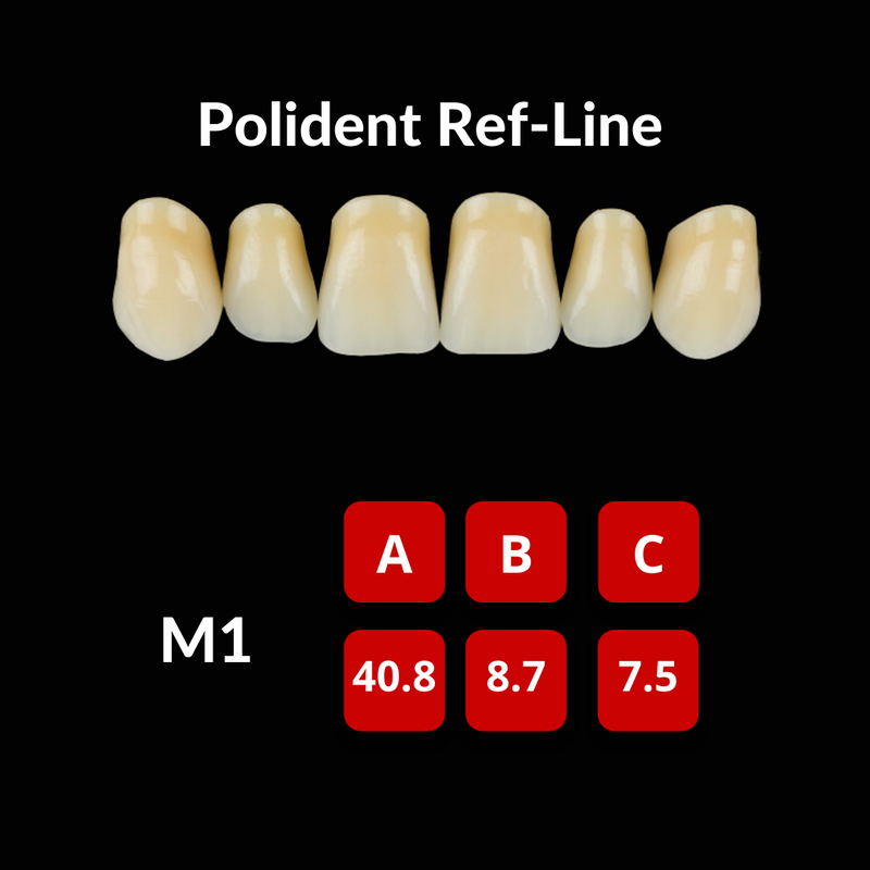 Polident Ref-Line Artificial Teeth Shade C2 Artificial Acrylic Resin Teeth by Polident- Unique Dental Supply Inc.