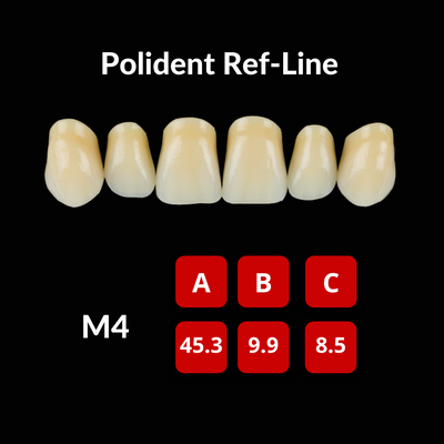 Polident Ref-Line Artificial Teeth Shade B3 Artificial Acrylic Resin Teeth by Polident- Unique Dental Supply Inc.