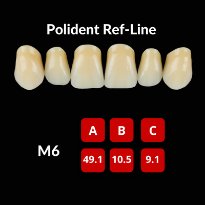 Polident Ref-Line Artificial Teeth Shade C1 Artificial Acrylic Resin Teeth by Polident- Unique Dental Supply Inc.