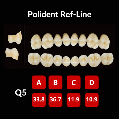 Polident Ref-Line Artificial Teeth Shade BL3 Artificial Acrylic Resin Teeth by Polident- Unique Dental Supply Inc.
