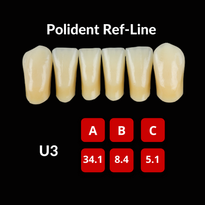 Polident Ref-Line Artificial Teeth Shade BL1 Artificial Acrylic Resin Teeth by Polident- Unique Dental Supply Inc.