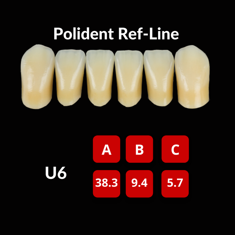 Polident Ref-Line Artificial Teeth Shade D2 Artificial Acrylic Resin Teeth by Polident- Unique Dental Supply Inc.