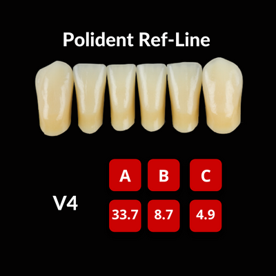 Polident Ref-Line Artificial Teeth Shade D4 Artificial Acrylic Resin Teeth by Polident- Unique Dental Supply Inc.
