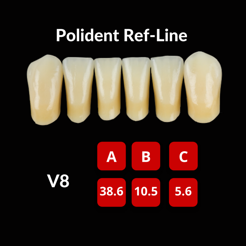 Polident Ref-Line Artificial Teeth Shade B1 Artificial Acrylic Resin Teeth by Polident- Unique Dental Supply Inc.