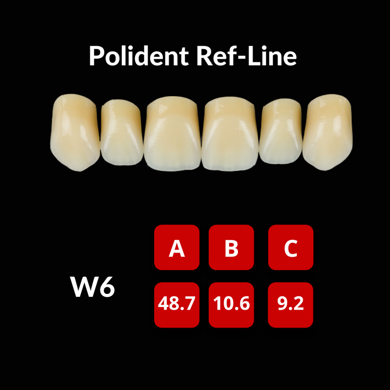 Polident Ref-Line Artificial Teeth Shade C4 Artificial Acrylic Resin Teeth by Polident- Unique Dental Supply Inc.