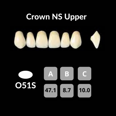 Yamahachi - Crown NS Teeth Shade C4 Crown NS Teeth by Yamahachi- Unique Dental Supply Inc.