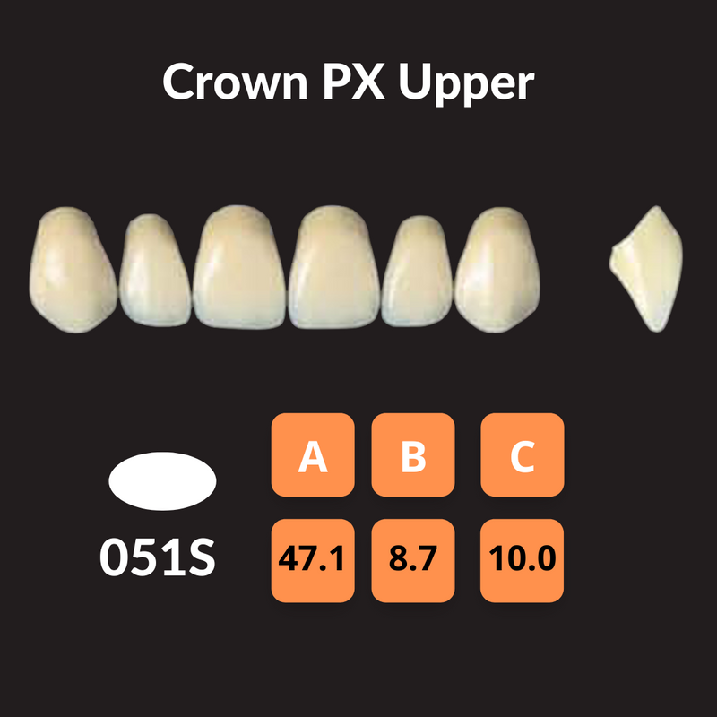 Yamahachi - Crown PX Teeth Shade C3 Crown PX Teeth by Yamahachi- Unique Dental Supply Inc.