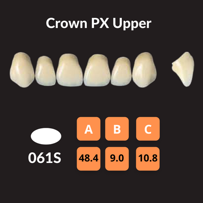 Yamahachi - Crown PX Teeth Shade B3 Crown PX Teeth by Yamahachi- Unique Dental Supply Inc.