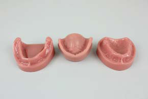 Panadent - Edentulous Models w/Bite EDUCATIONAL MATERIALS by Panadent- Unique Dental Supply Inc.