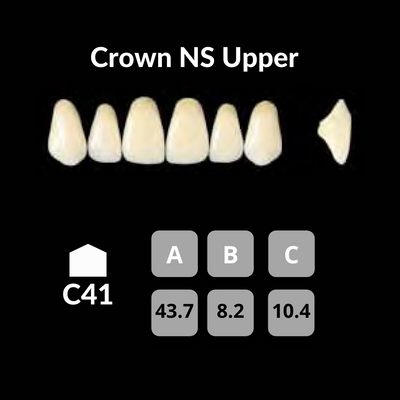 Yamahachi - Crown NS Teeth Shade D2 Crown NS Teeth by Yamahachi- Unique Dental Supply Inc.