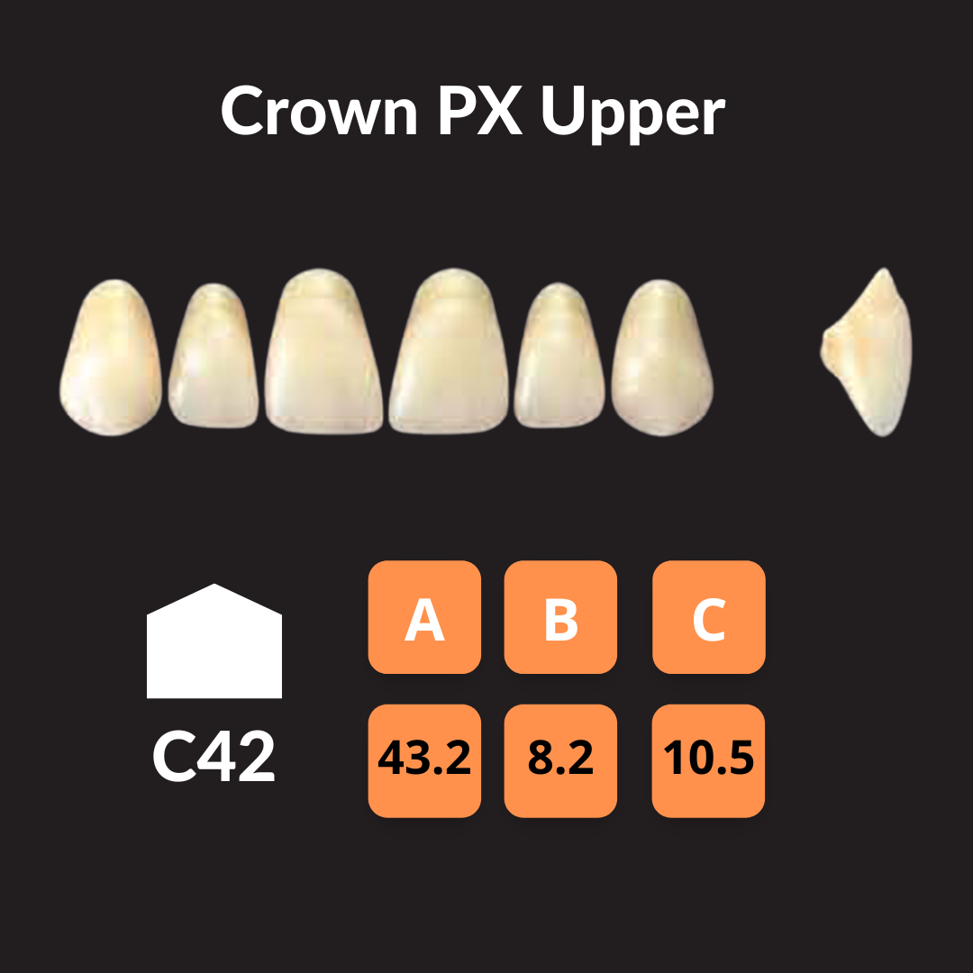 Yamahachi - Crown PX Teeth Shade A1 – Unique Dental Supply Inc.