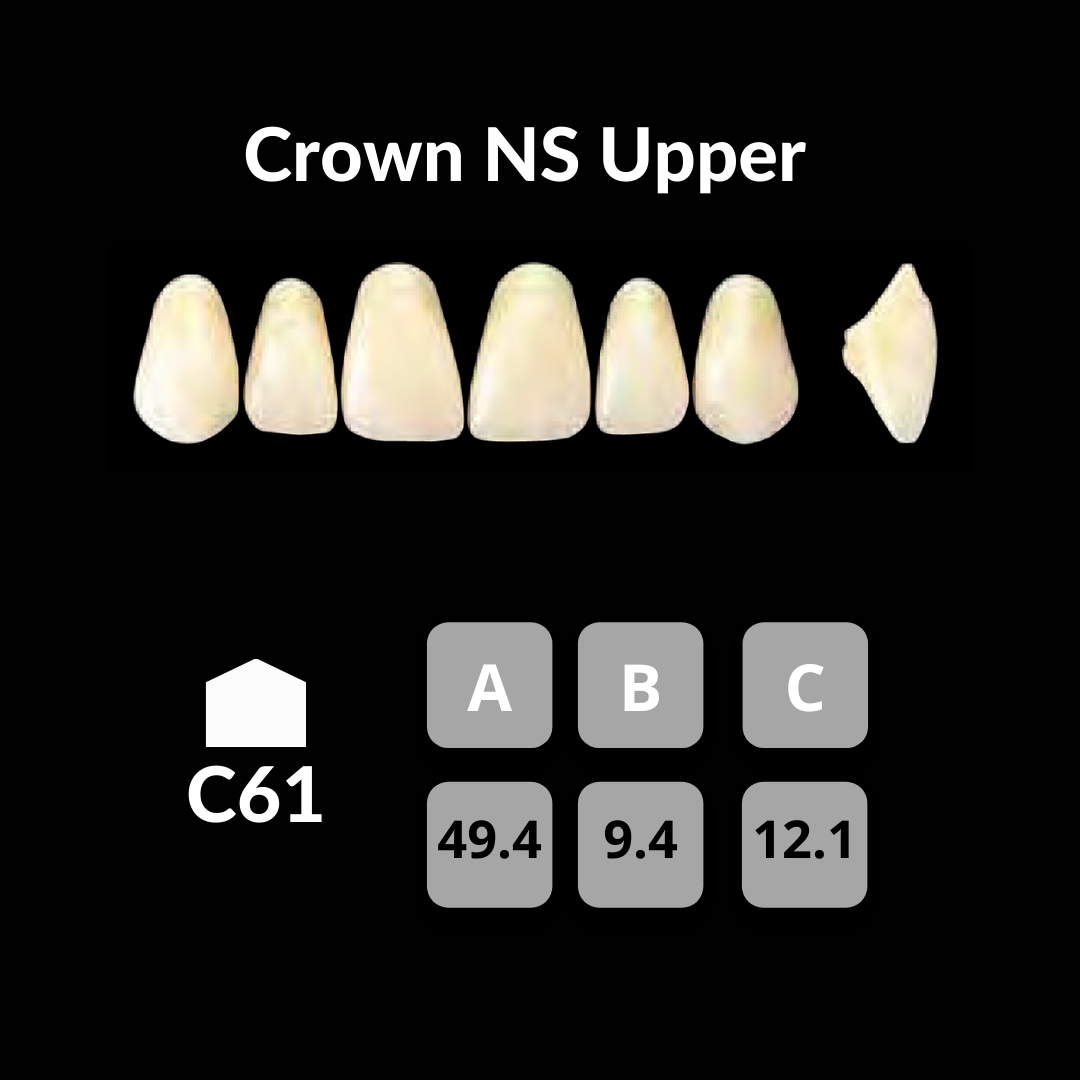 Yamahachi - Crown NS Teeth Shade D3 – Unique Dental Supply Inc.