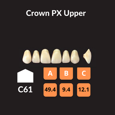 Yamahachi - Crown PX Teeth Shade W0.5 Crown PX Teeth by Yamahachi- Unique Dental Supply Inc.