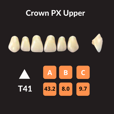 Yamahachi - Crown PX Teeth Shade D3 Crown PX Teeth by Yamahachi- Unique Dental Supply Inc.