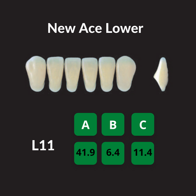 Yamahachi New Ace Teeth Shade C4 Crown New Ace Teeth by Yamahachi- Unique Dental Supply Inc.