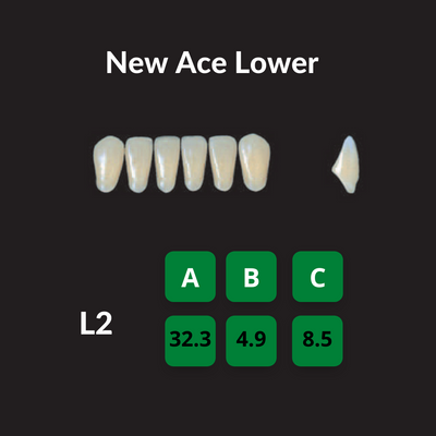 Yamahachi New Ace Teeth Shade B3 Crown New Ace Teeth by Yamahachi- Unique Dental Supply Inc.