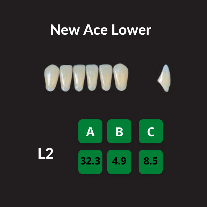 Yamahachi New Ace Teeth Shade B1 Crown New Ace Teeth by Yamahachi- Unique Dental Supply Inc.