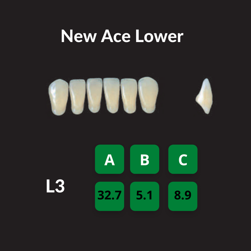 Yamahachi New Ace Teeth Shade D4 Crown New Ace Teeth by Yamahachi- Unique Dental Supply Inc.