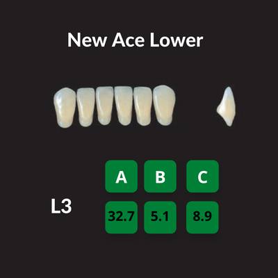 Yamahachi New Ace Teeth Shade W05 Crown New Ace Teeth by Yamahachi- Unique Dental Supply Inc.