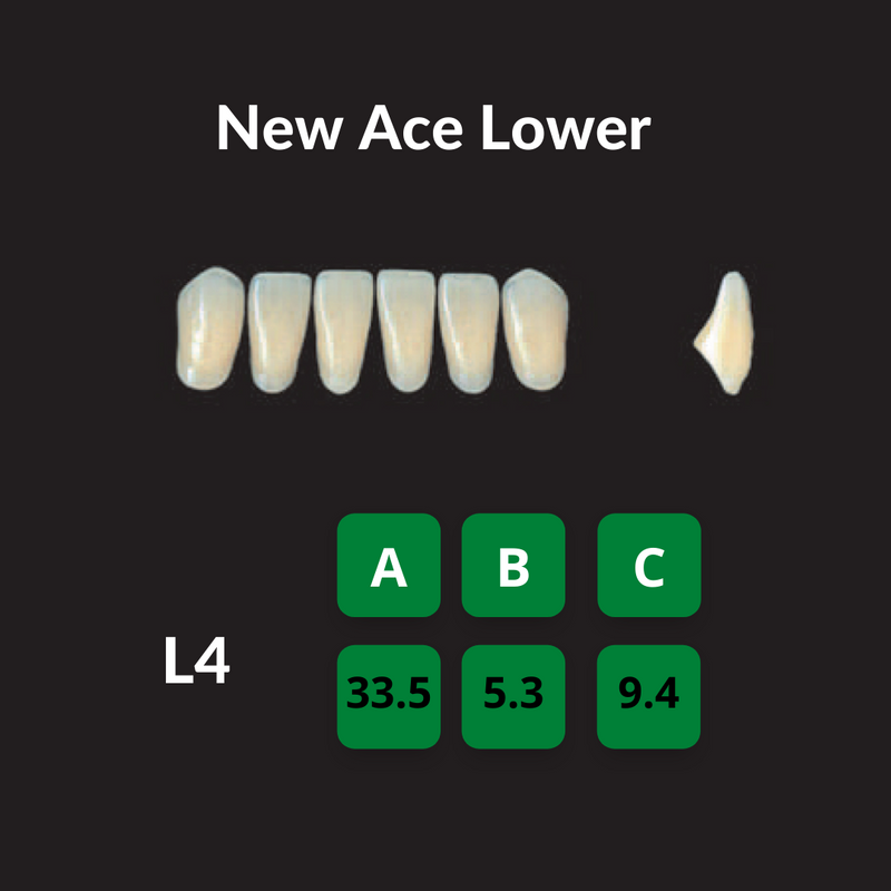 Yamahachi New Ace Teeth Shade B4 Crown New Ace Teeth by Yamahachi- Unique Dental Supply Inc.